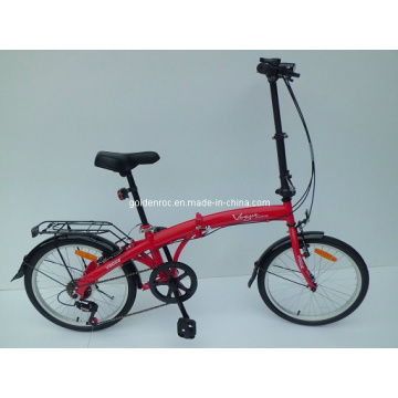 Bicicleta plegable con marco de acero de 20 &quot;(FD20)